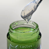 Load image into Gallery viewer, Whamisa Fresh Cactus Soothing &amp; Lifting Prickly Pear Mask - US Whamisa
